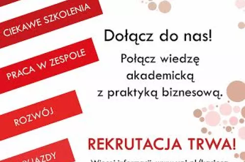 praktyki YPI Consulting