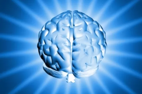 Jak zaprogramować mózg