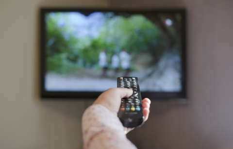 programy popularnonaukowe kanały telewizyjne